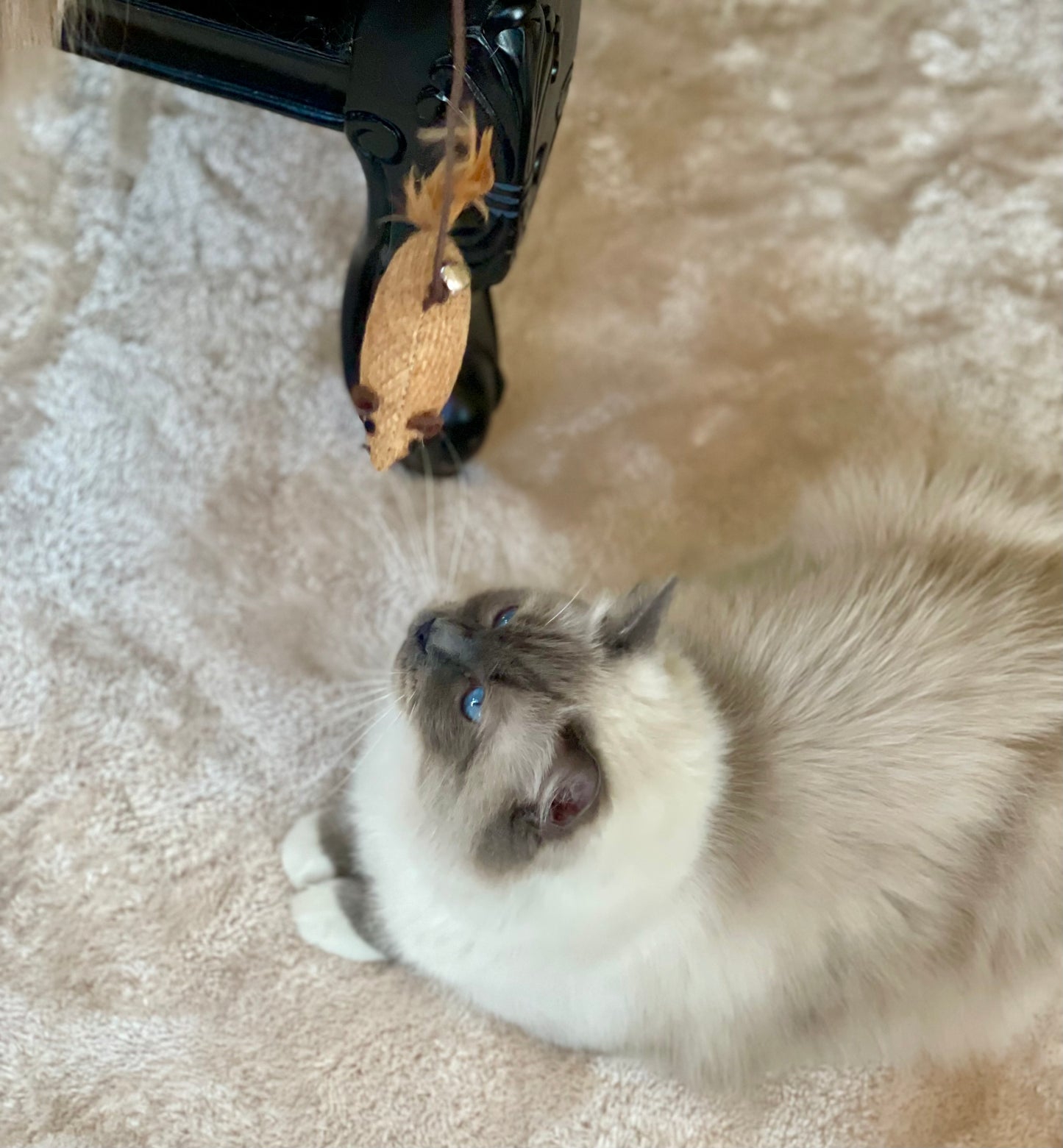 LEKSPÖ - Naturmaterial i trä & väv