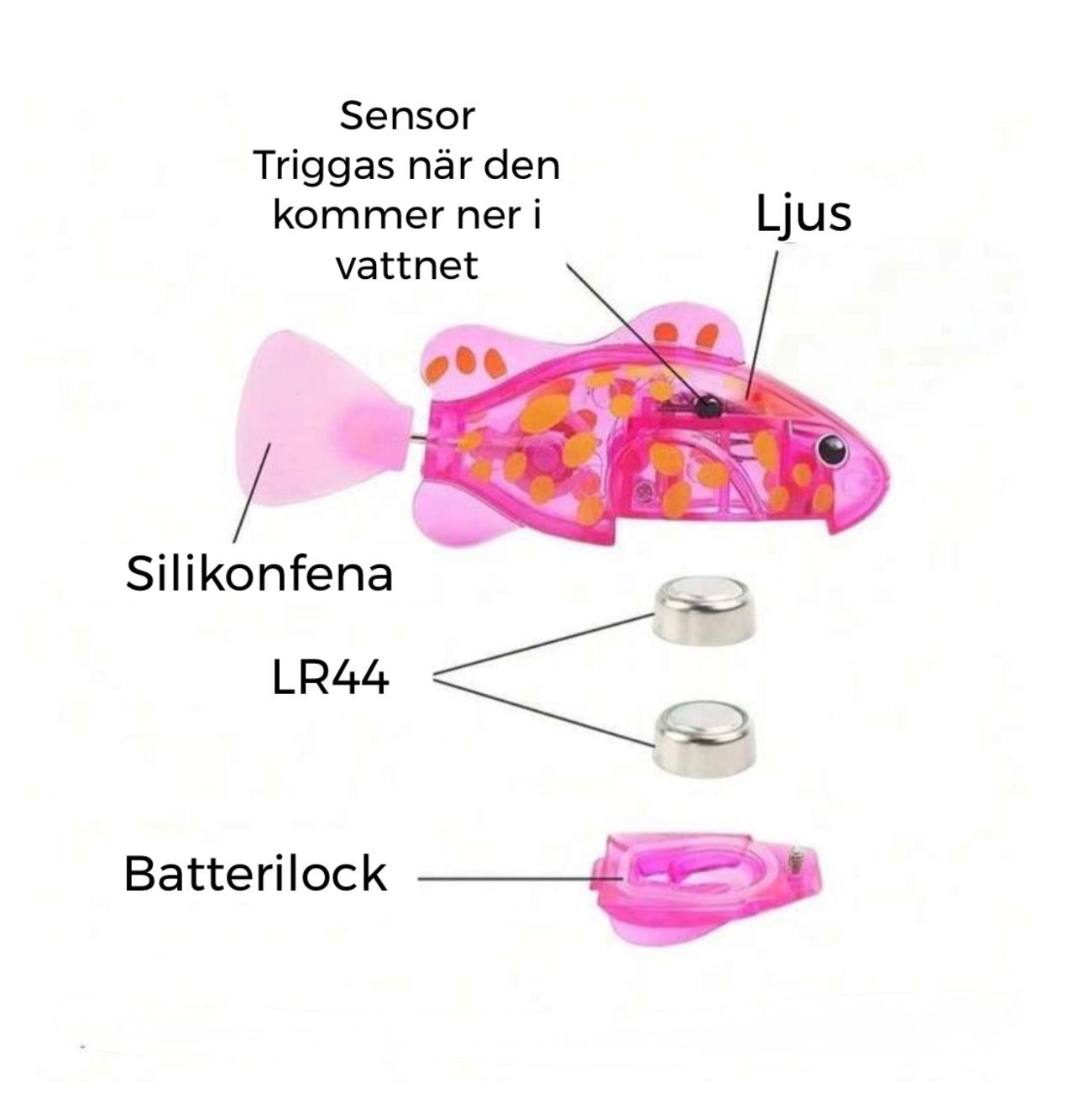 SIMMANDE KATTLEKSAK - interaktiv och spännande