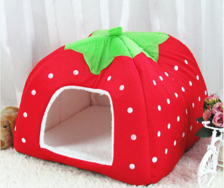 IGLOO - purrfect & mysig