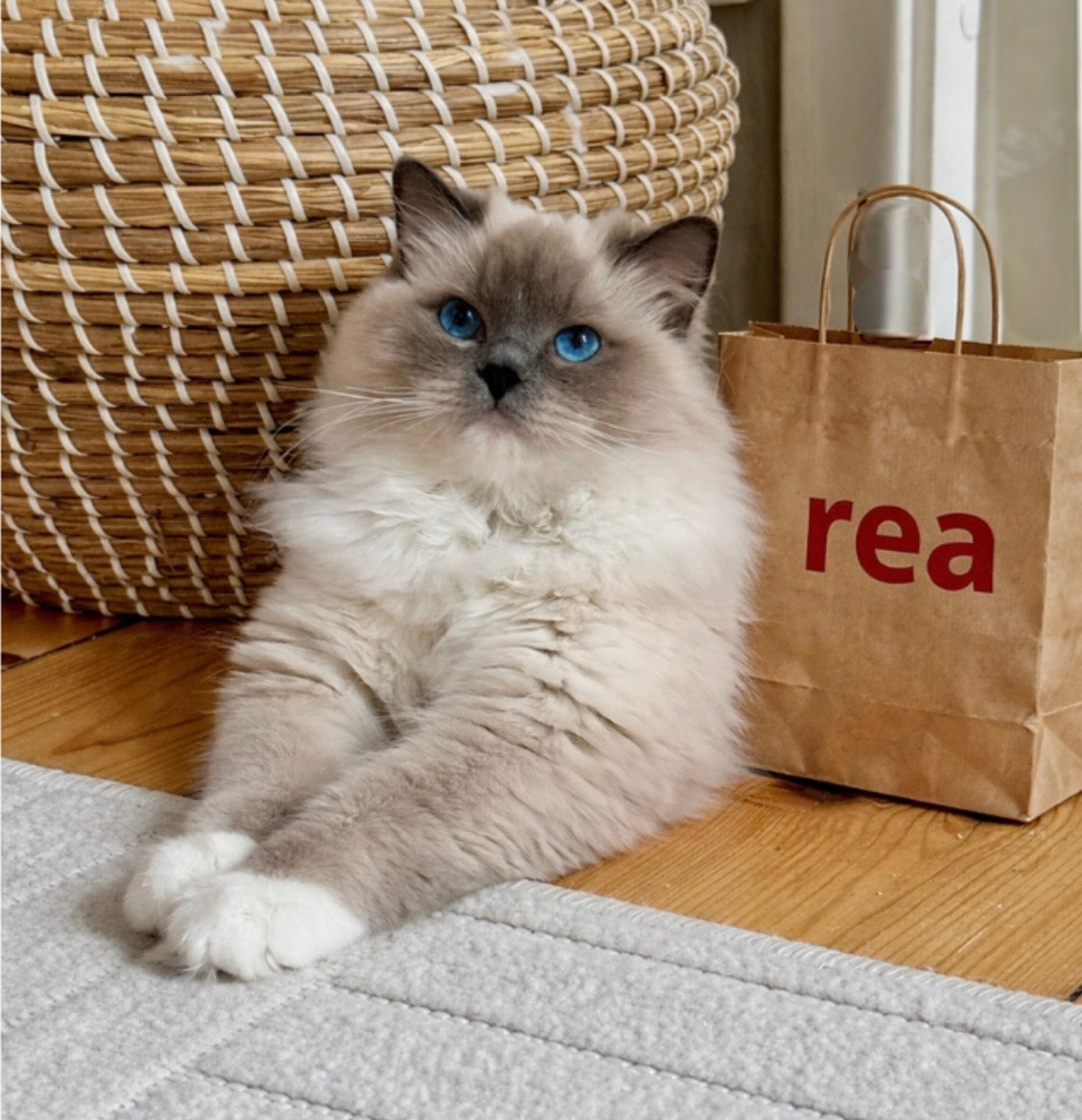 ERBJUDANDEN - Passa på!