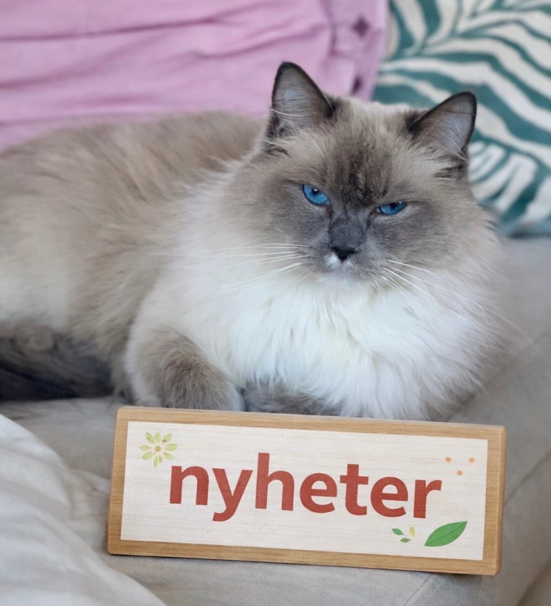 Upptäck våra NYHETER!