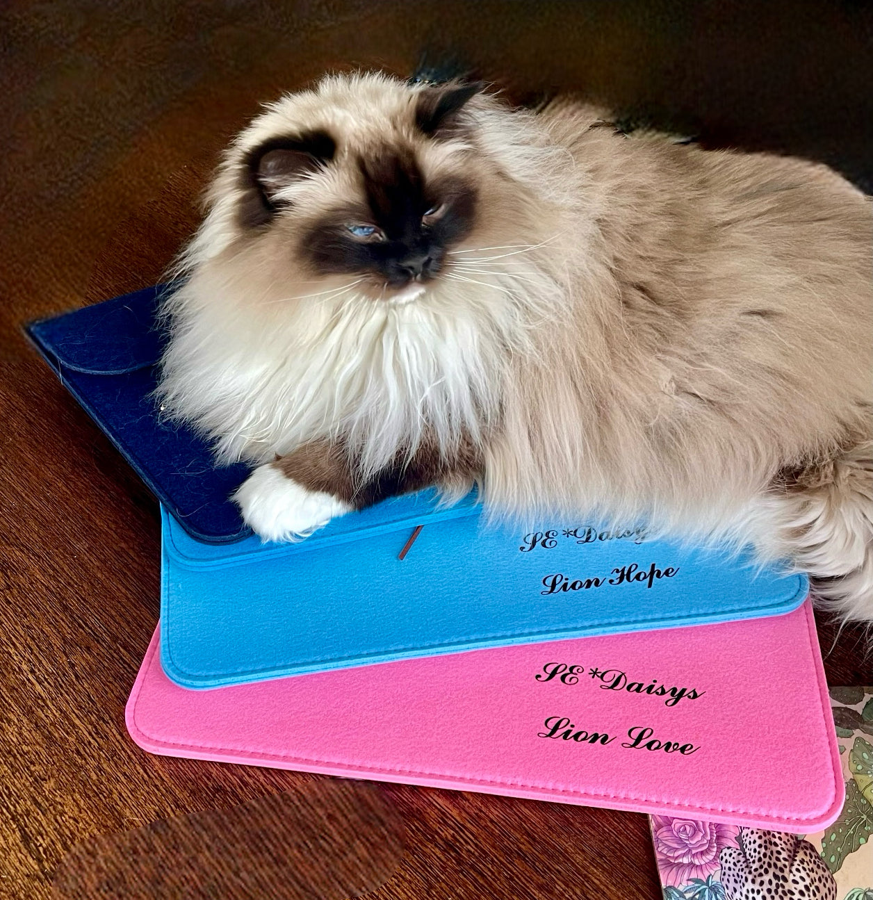 DOKUMENTMAPP - med valfri text