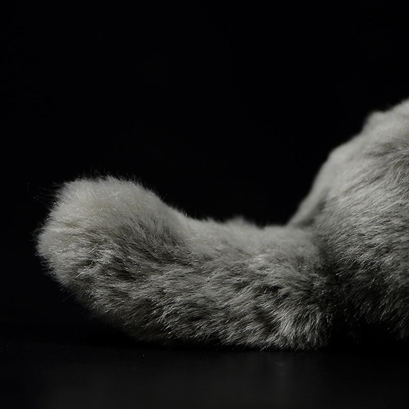 MJUKISKATT - ljuvligt mjuk och bedårande söt