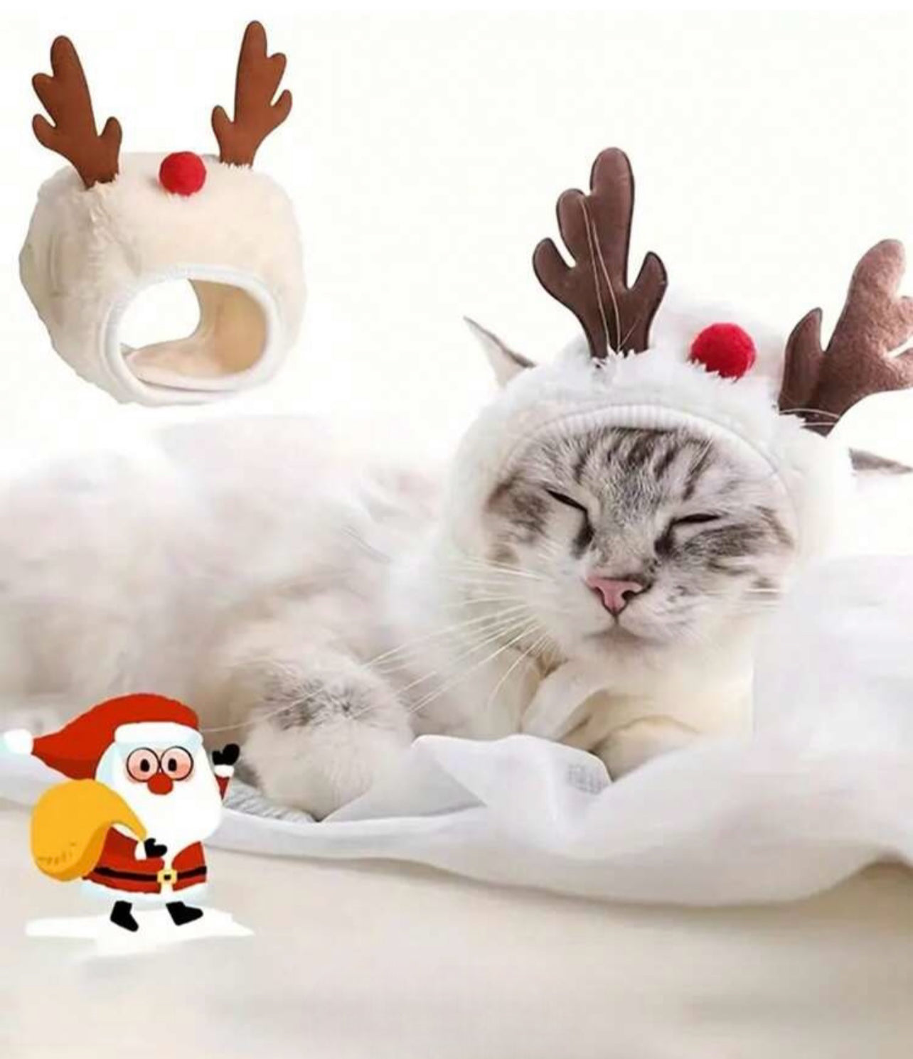 JULACCESSOARER - Gör din pälskling lite extra fin!