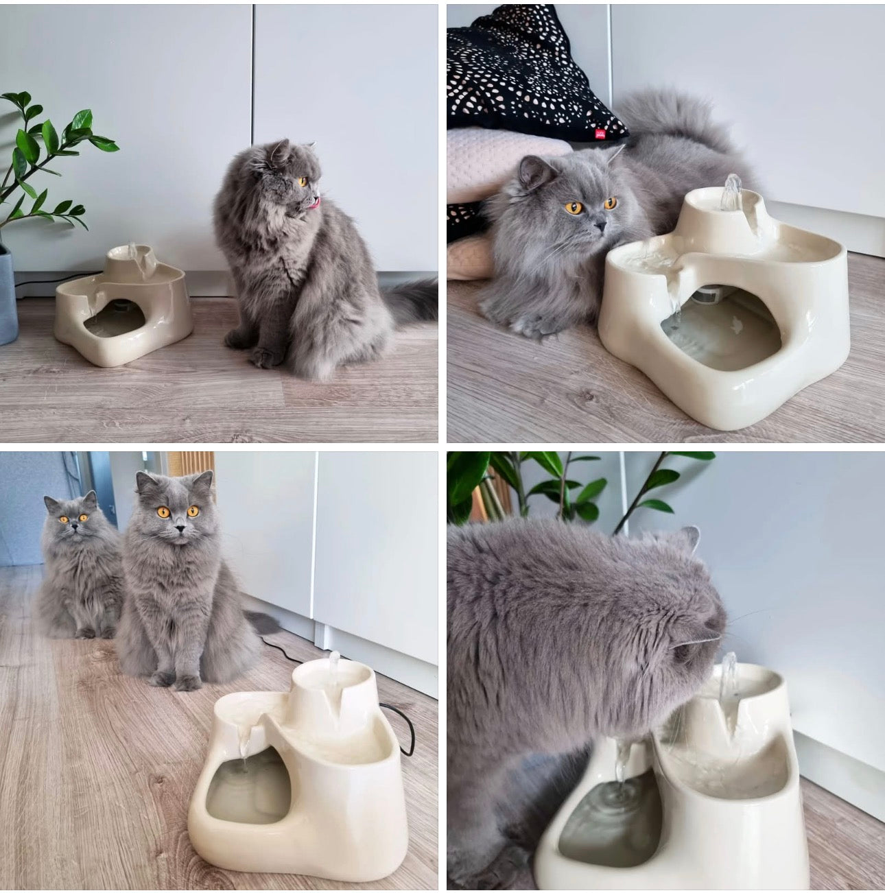KATTFONTÄN - Uppmuntrar katten till att dricka mer