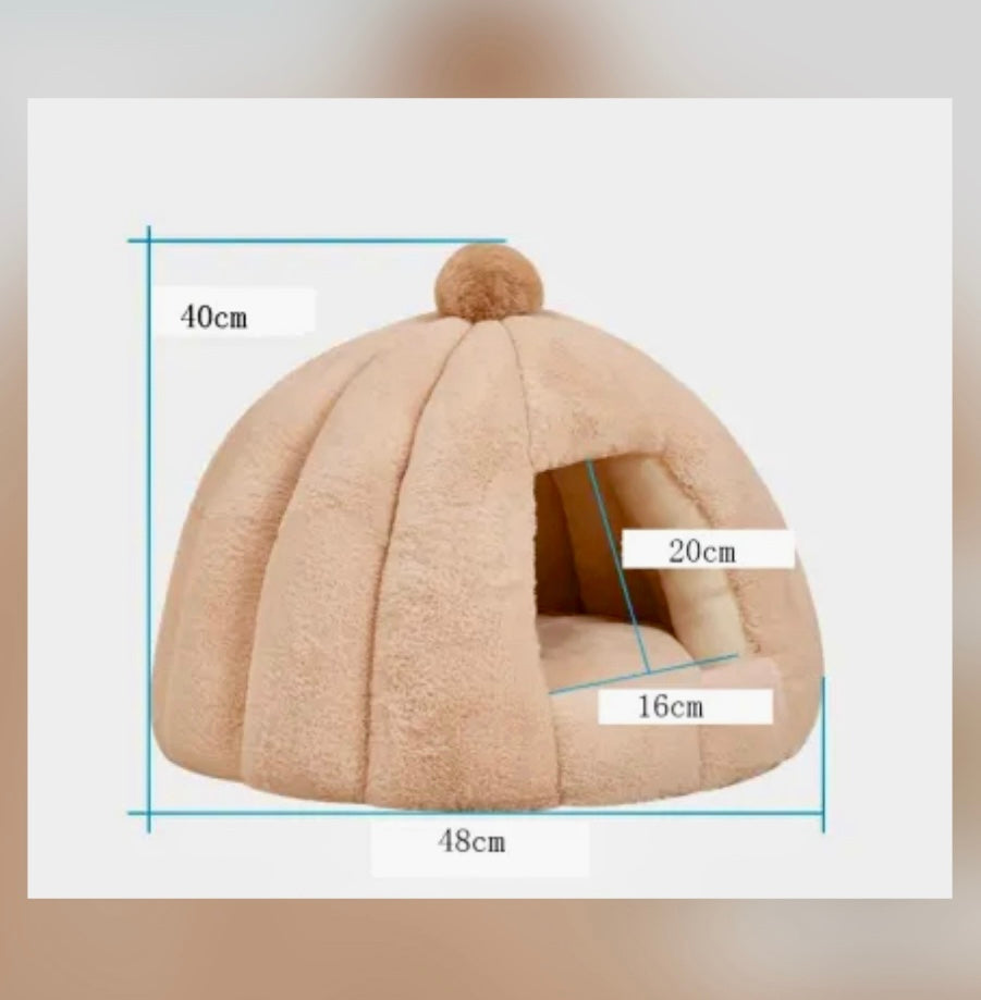 IGLOO - Stor & supermysig