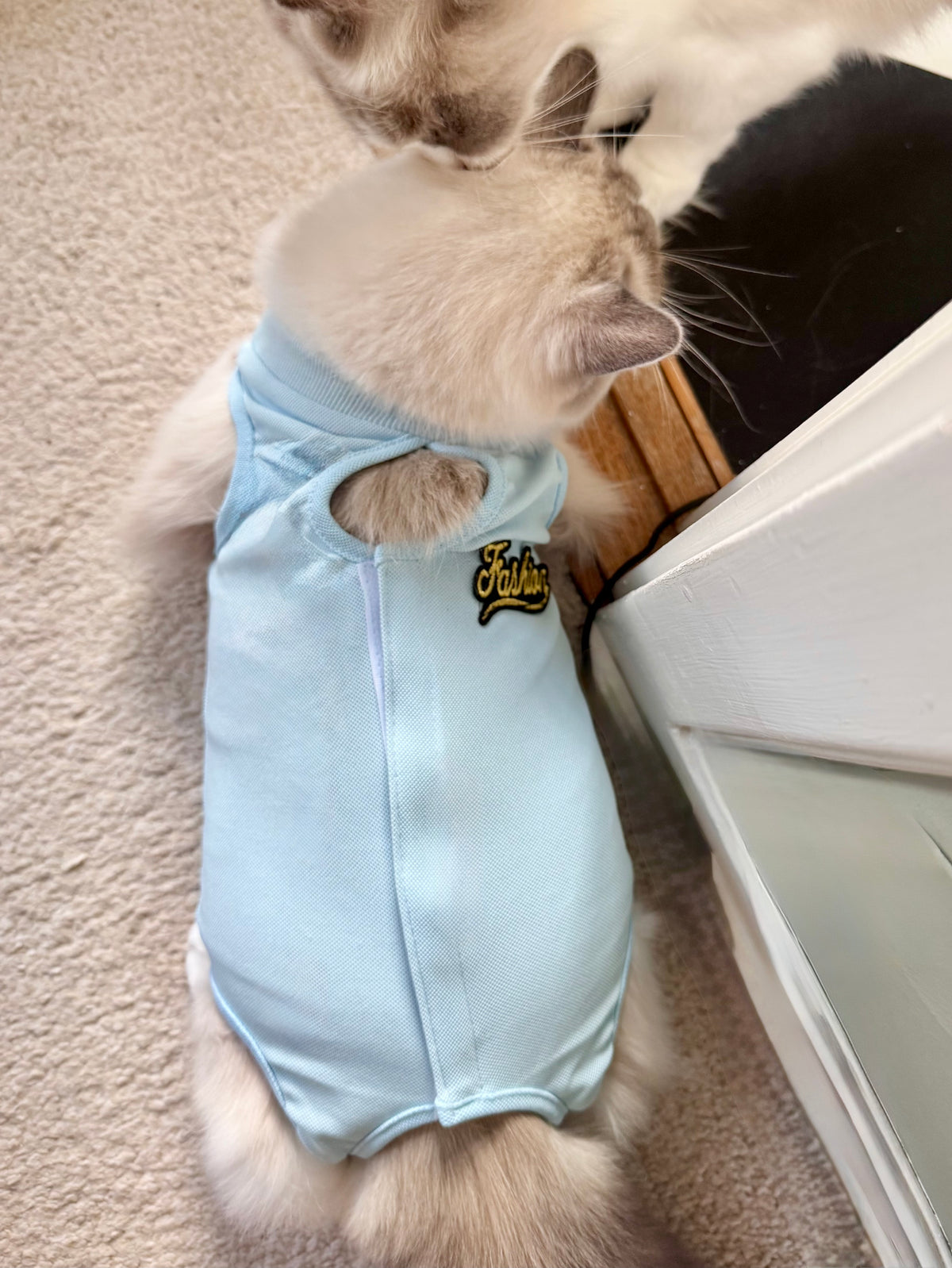 KATTBODY Fashionista - Skyddar katten från att klia & slicka sig