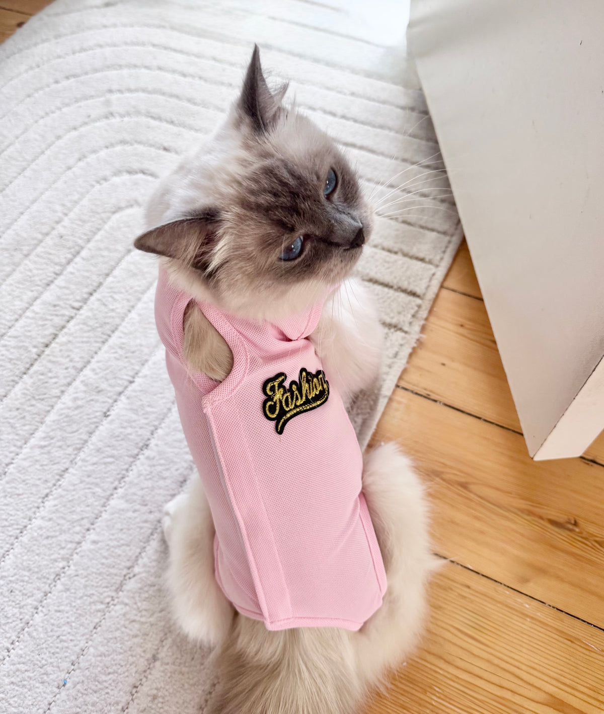 KATTBODY Fashionista - Skyddar katten från att klia & slicka sig