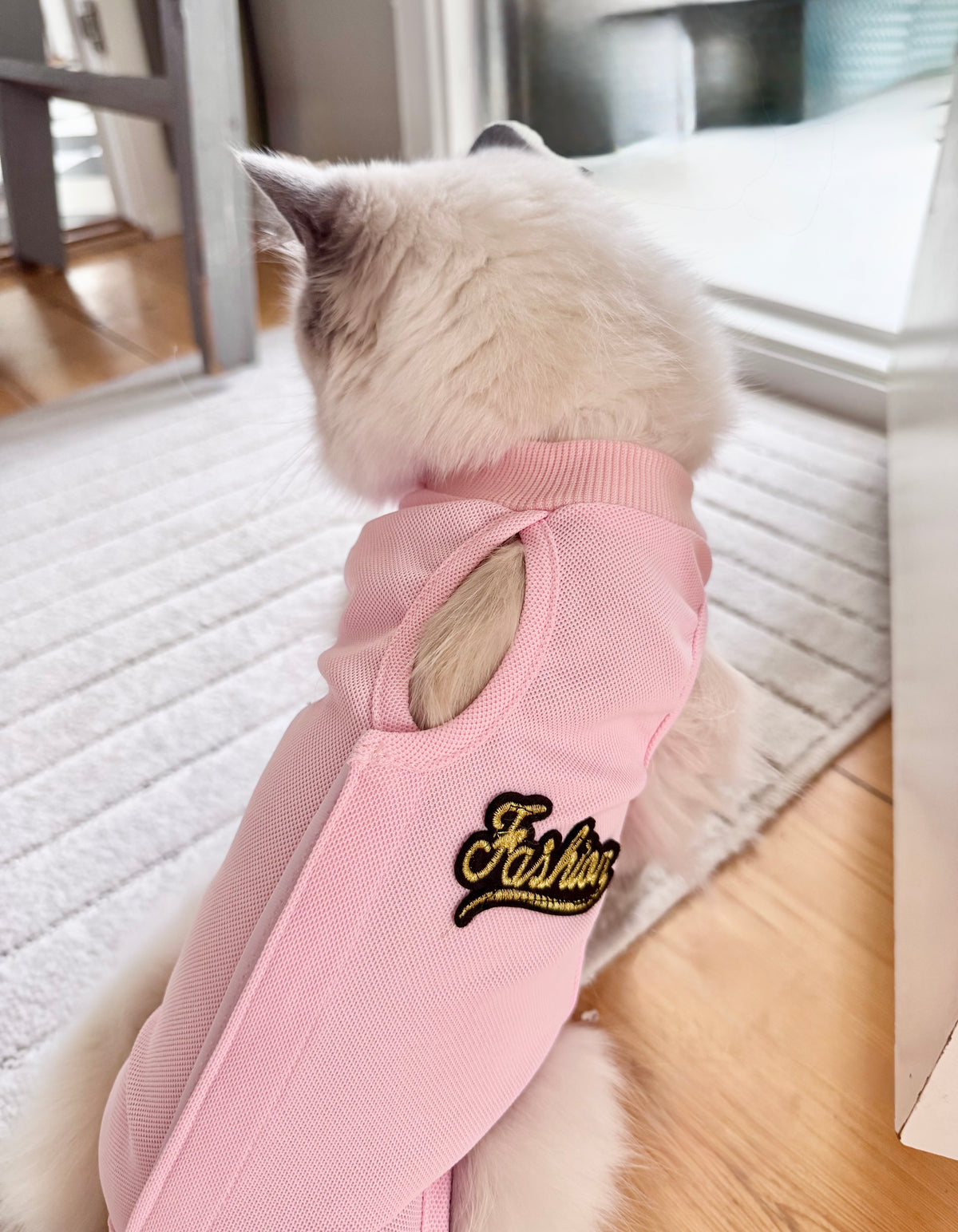 KATTBODY Fashionista - Skyddar katten från att klia & slicka sig