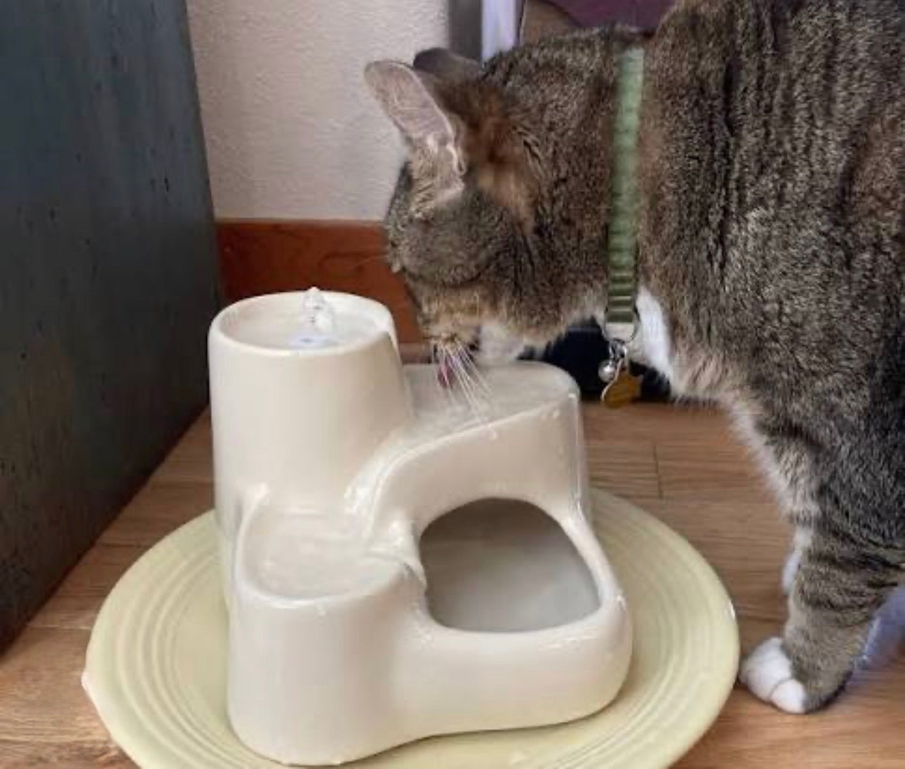 KATTFONTÄN - Uppmuntrar katten till att dricka mer