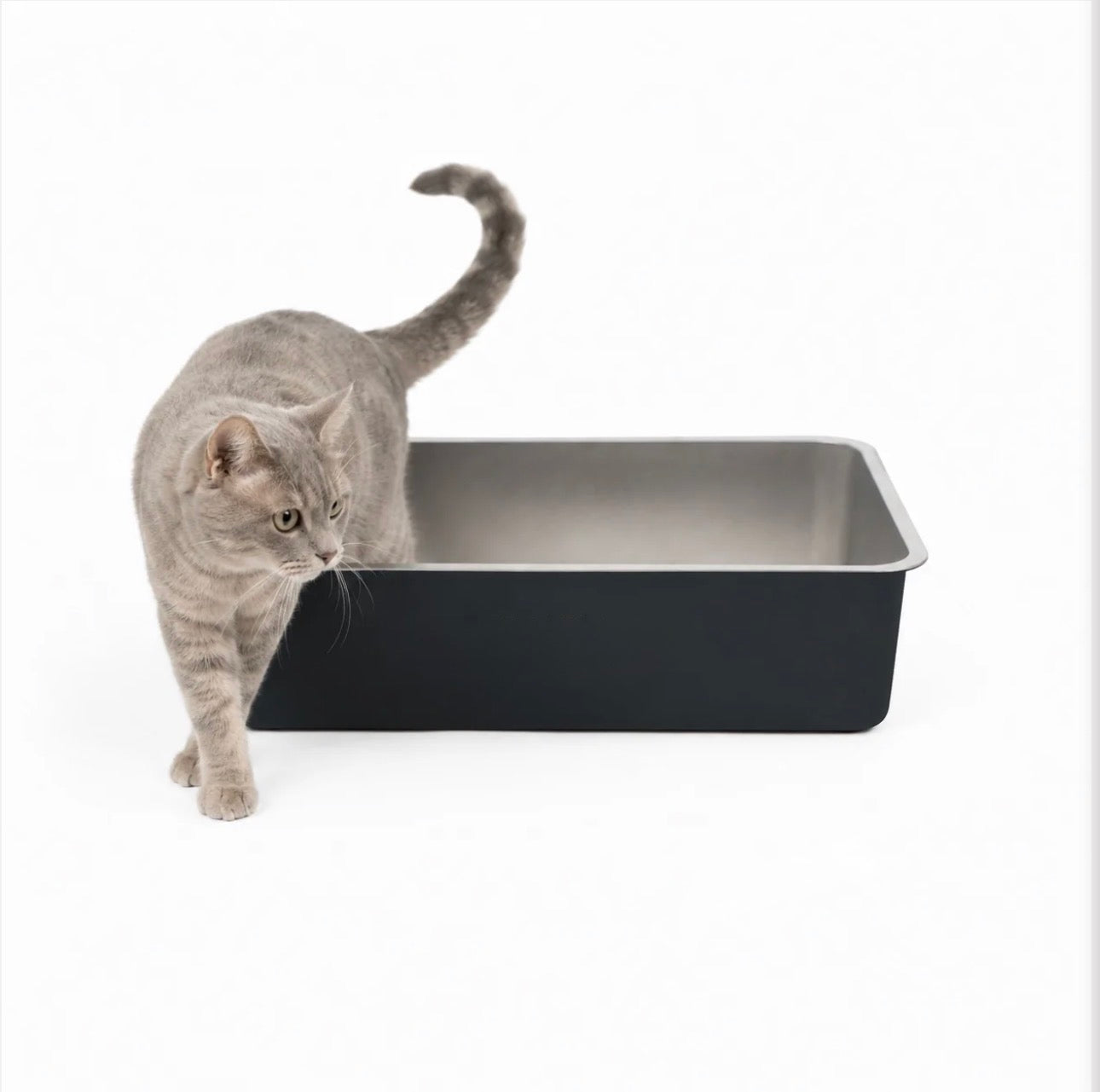 Steloo KATTLÅDA - Rostfritt stål, en låda för livet!