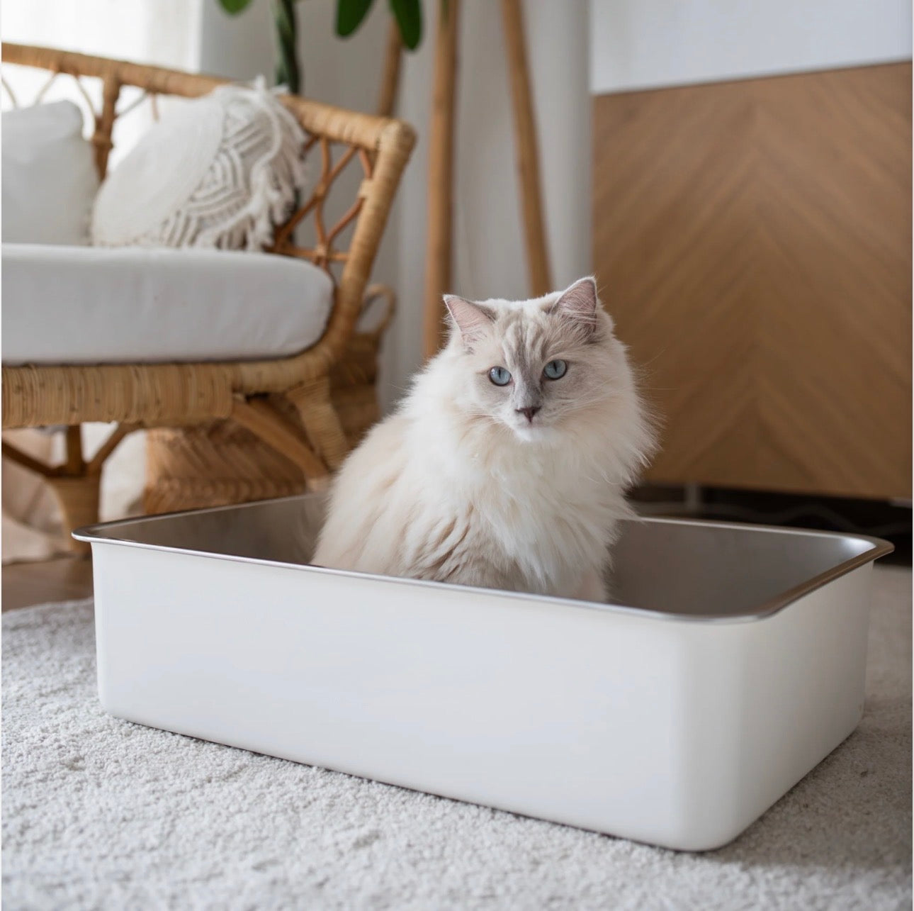 Steloo KATTLÅDA - Rostfritt stål, en låda för livet!