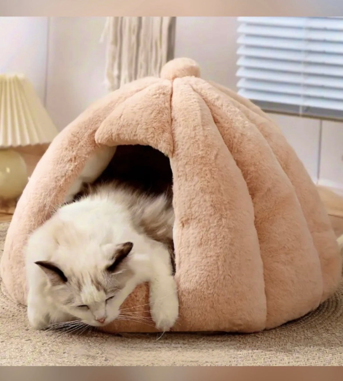 KATTIGLOO Cozy Cocoon - Stor & supermysig