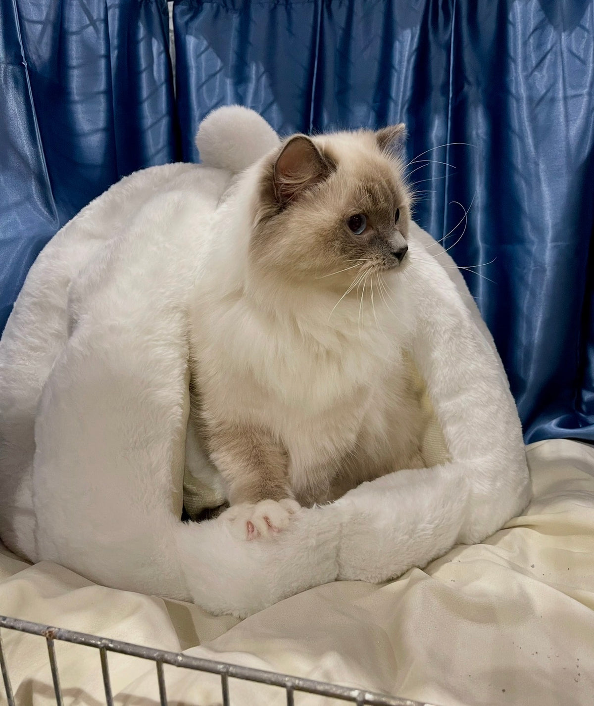 KATTIGLOO Cozy Cocoon - Stor & supermysig
