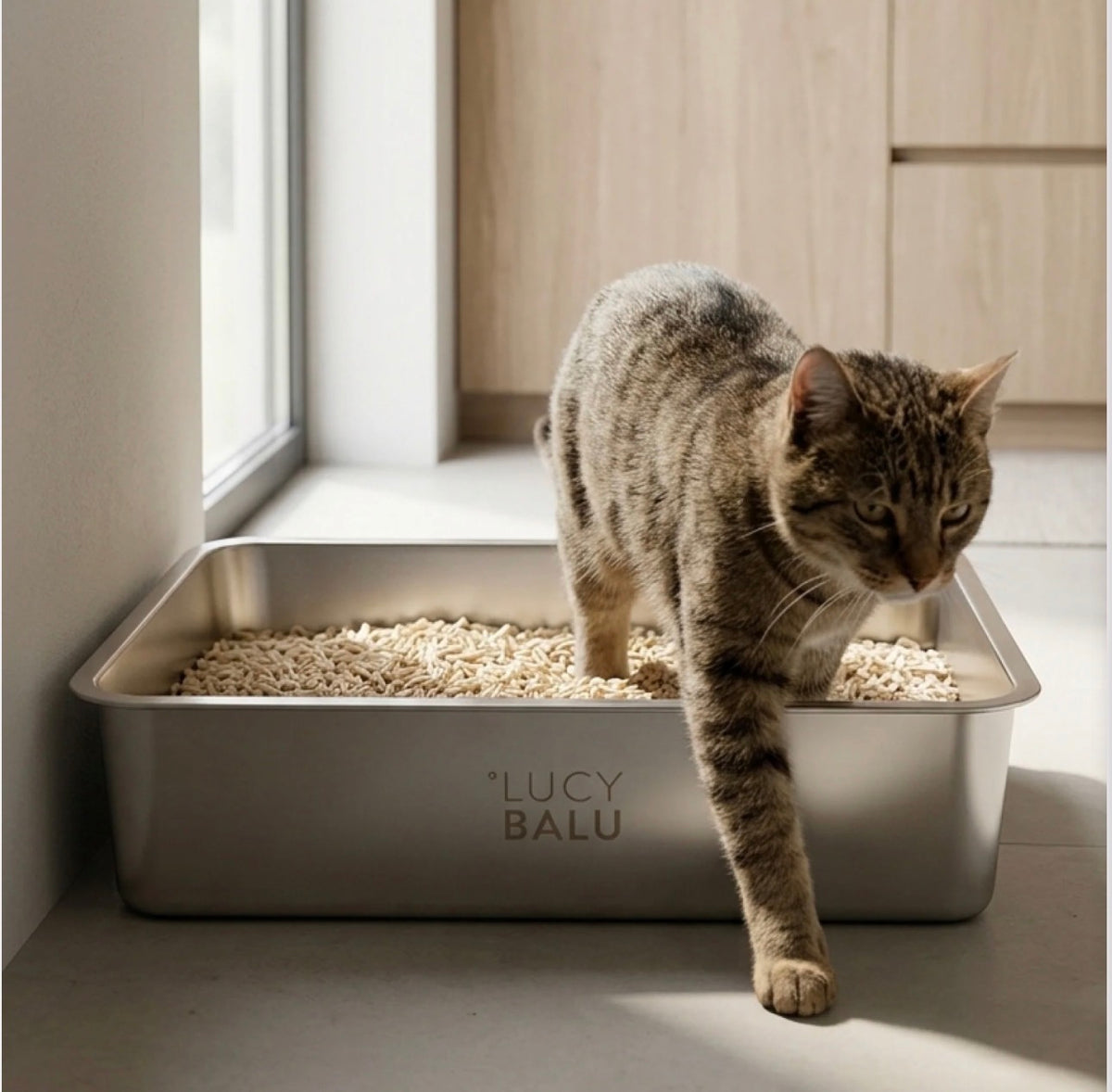 LucyBalu Steloo KATTLÅDA - Rostfritt stål, en låda för livet!
