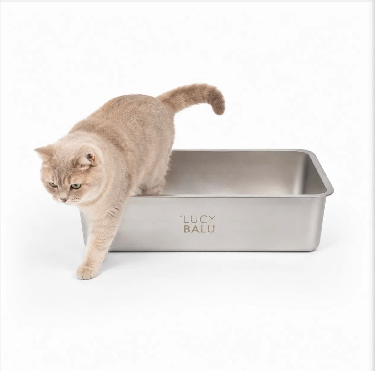 LucyBalu Steloo KATTLÅDA - Rostfritt stål, en låda för livet!