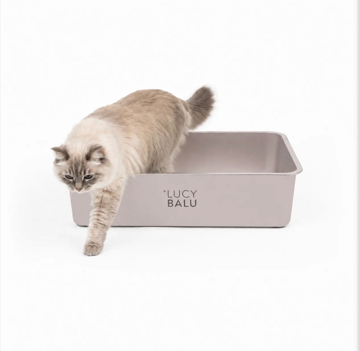 LucyBalu Steloo KATTLÅDA - Rostfritt stål, en låda för livet!