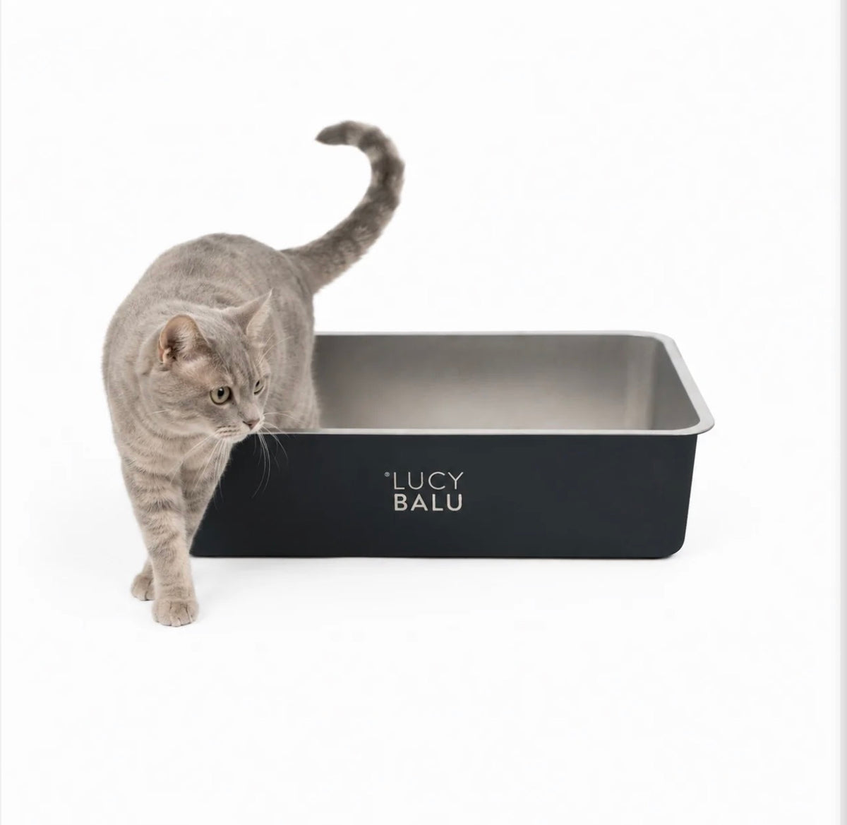 LucyBalu Steloo KATTLÅDA - Rostfritt stål, en låda för livet!