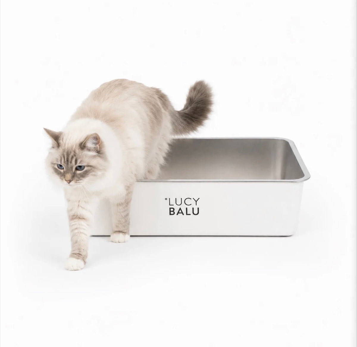 LucyBalu Steloo KATTLÅDA - Rostfritt stål, en låda för livet!