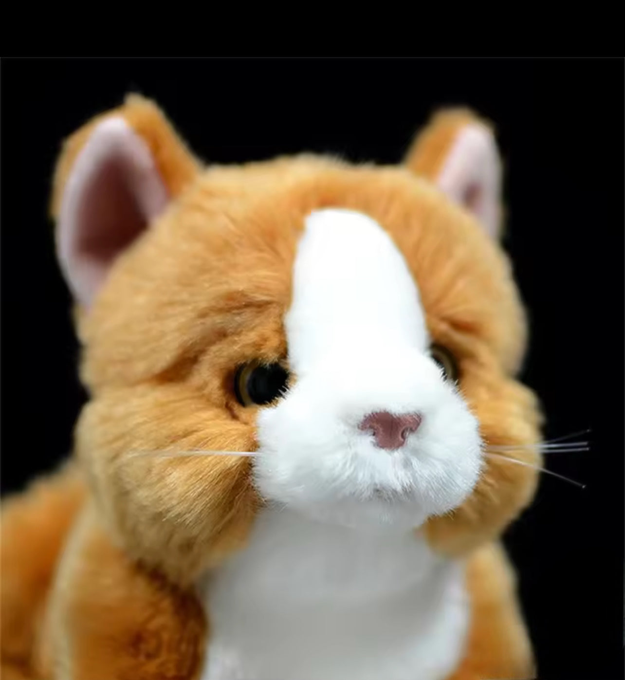 MJUKISKATT - ljuvligt mjuk och bedårande söt