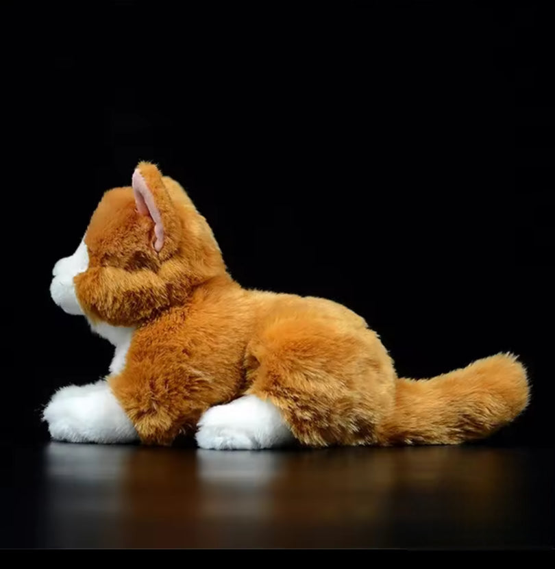 MJUKISKATT - ljuvligt mjuk och bedårande söt