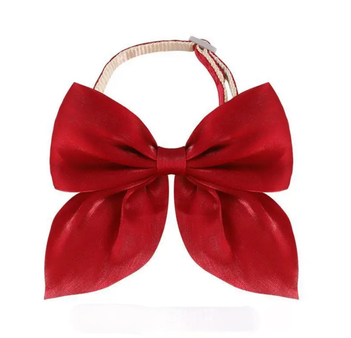 FLUGA eller ROSETT - när katten vill vara extra stilig