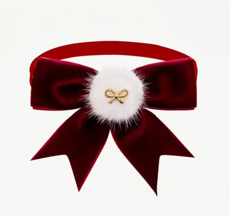 FLUGA eller ROSETT - när katten vill vara extra stilig