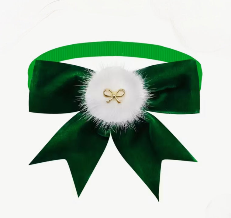 FLUGA eller ROSETT - när katten vill vara extra stilig