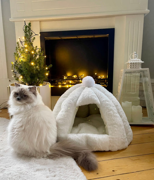 IGLOO - Stor & supermysig