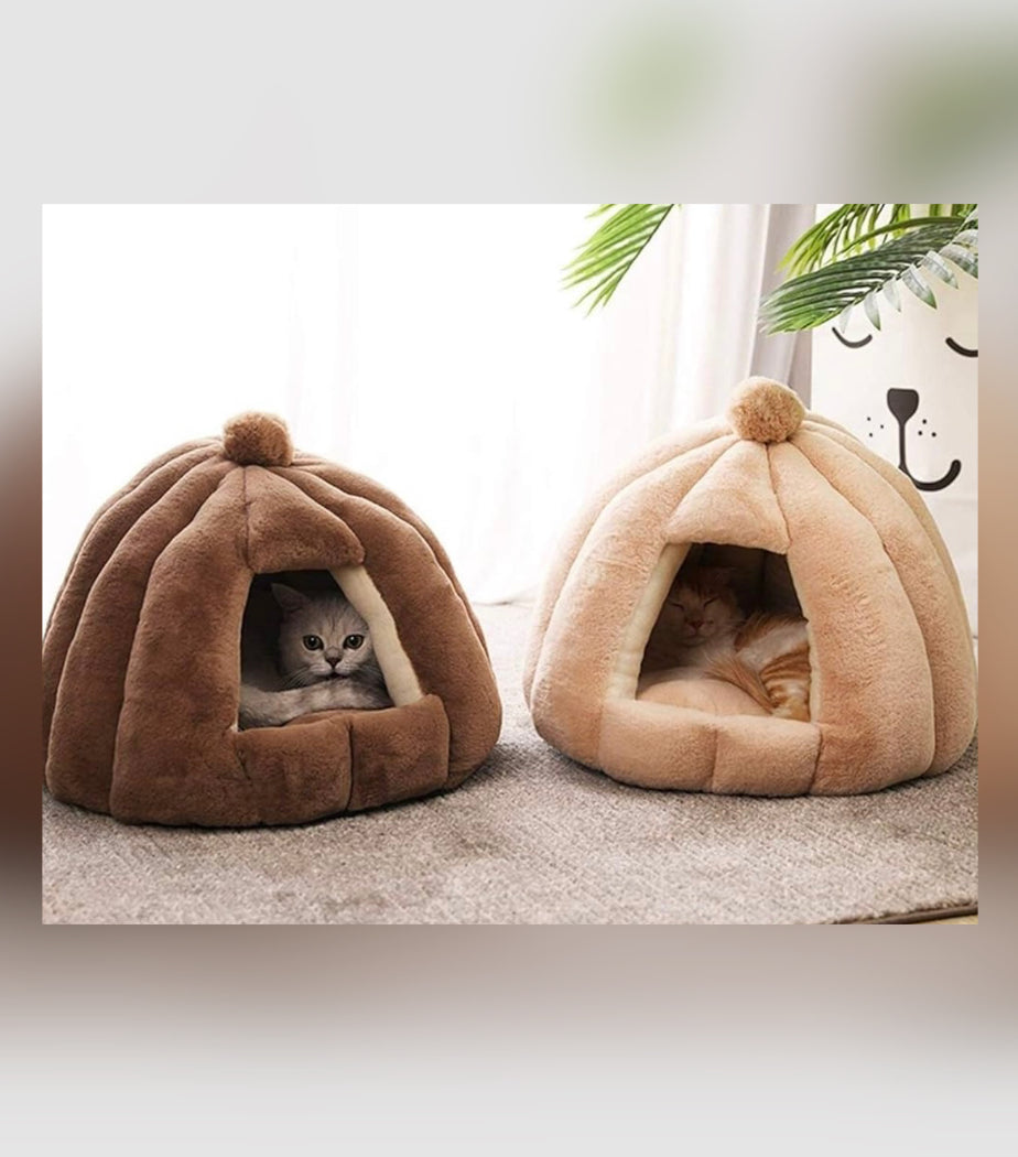 IGLOO - Stor & supermysig