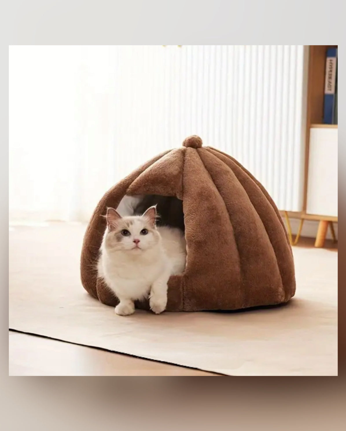 IGLOO - Stor & supermysig