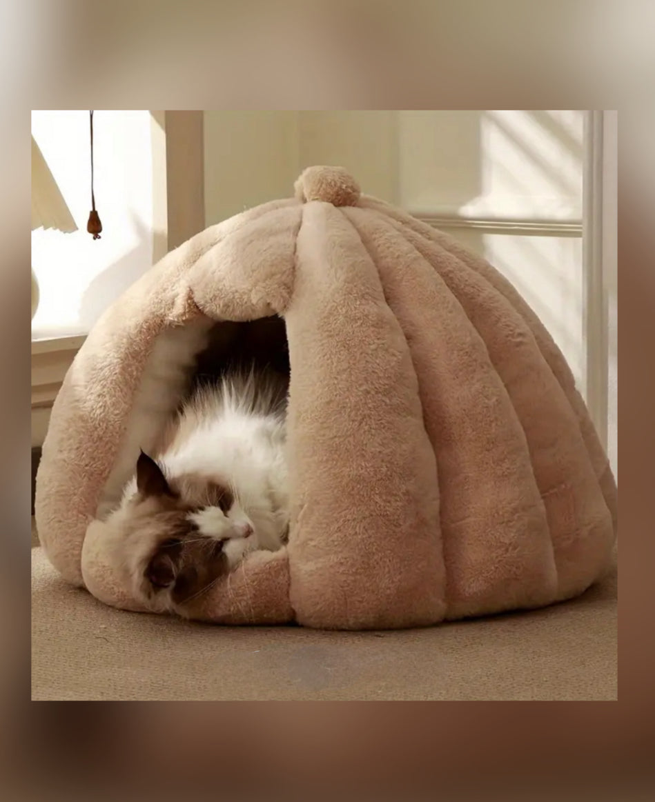 IGLOO - Stor & supermysig