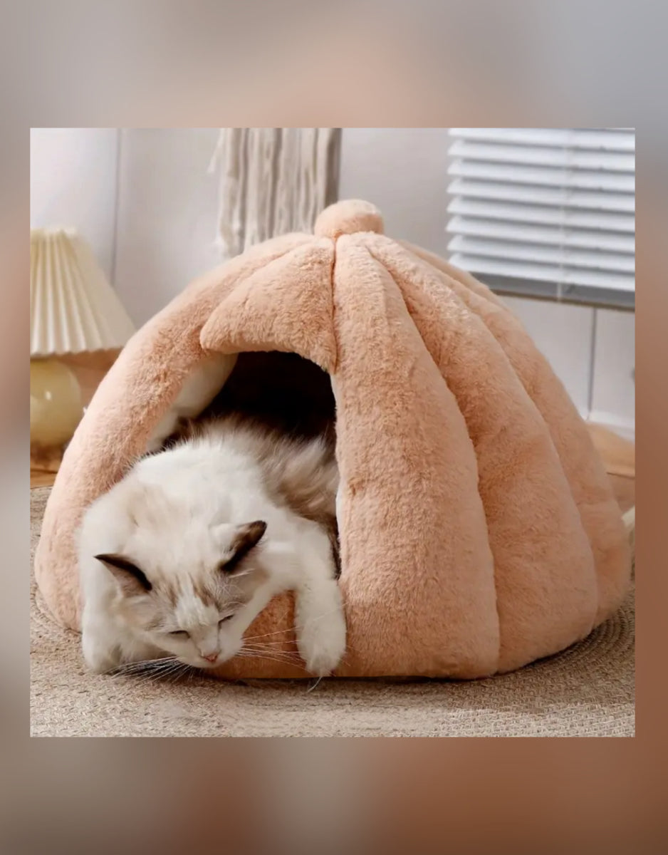 IGLOO - Stor & supermysig