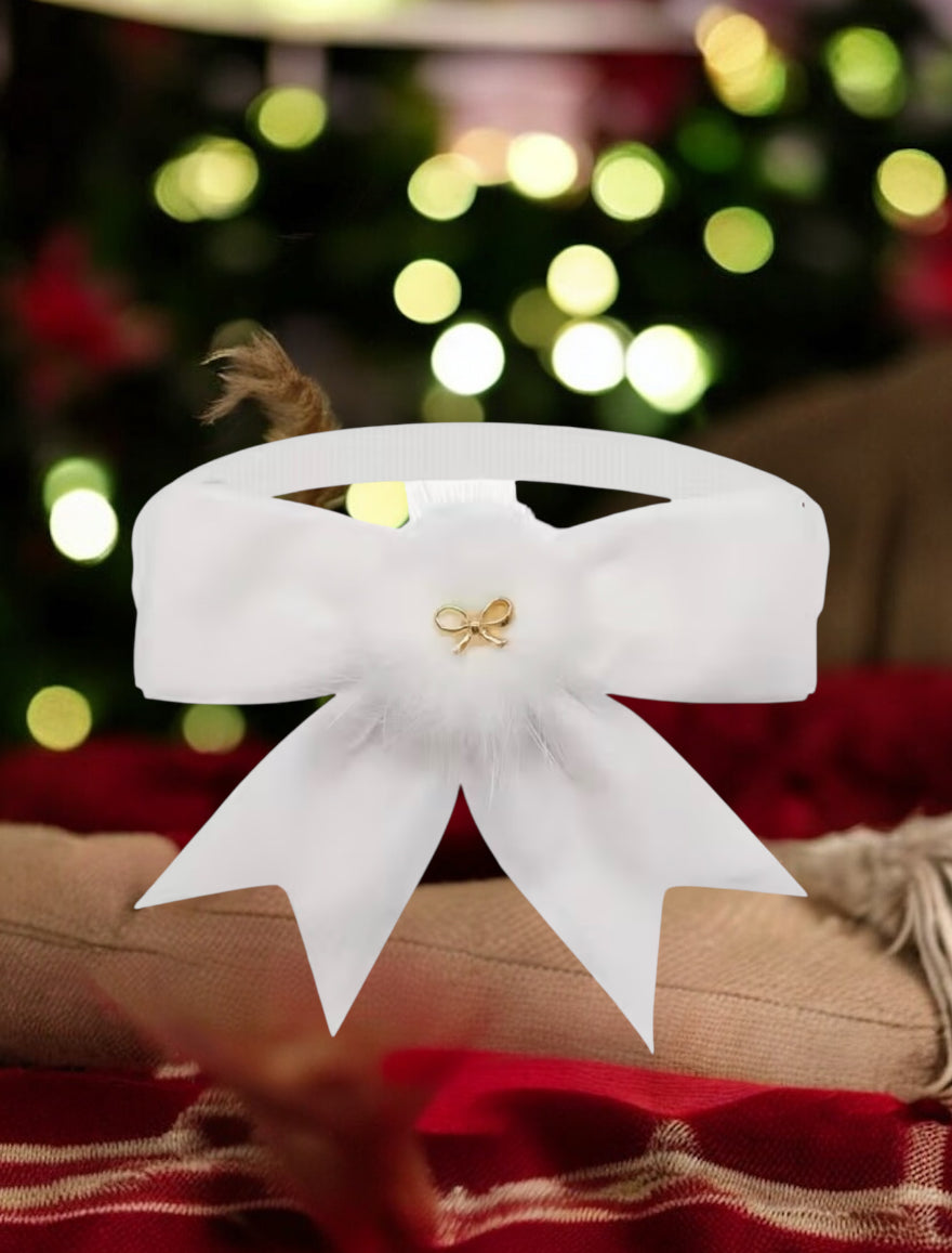 FLUGA eller ROSETT - när katten vill vara extra stilig