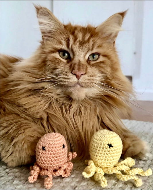 VIRKAD KATTLEKSAK - med extra stark kattmynta