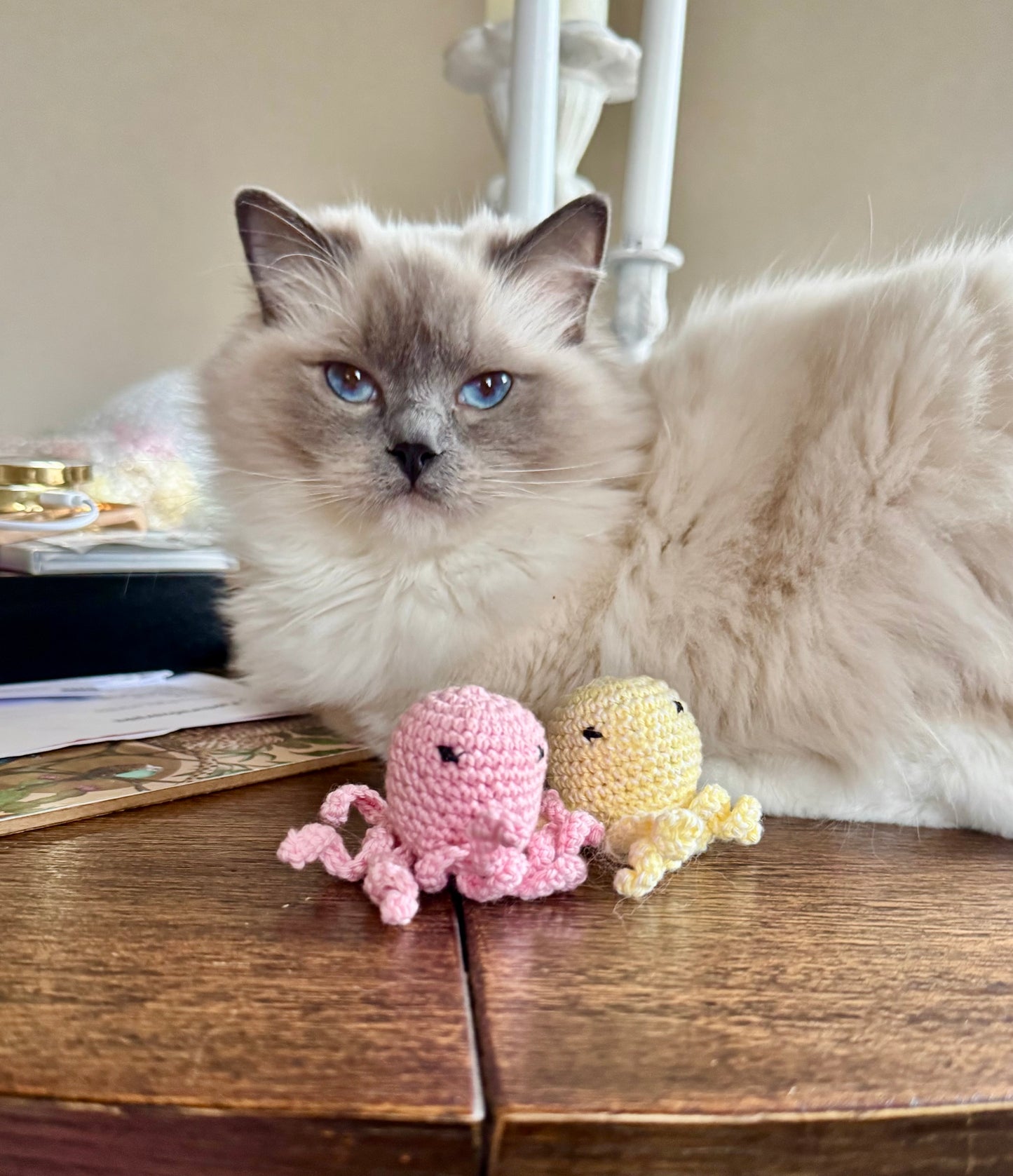 VIRKAD KATTLEKSAK - med extra stark kattmynta