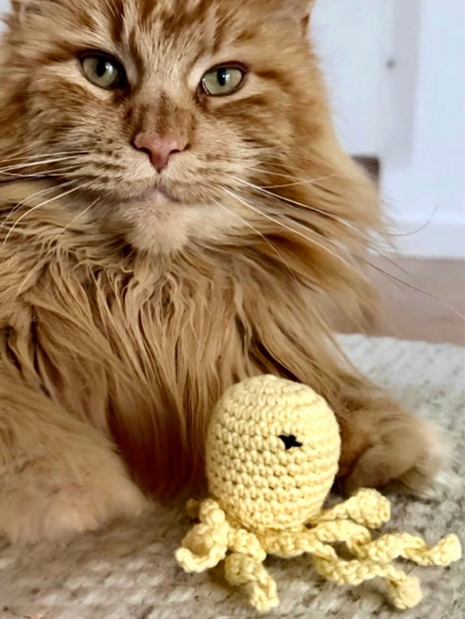 VIRKAD KATTLEKSAK - med extra stark kattmynta