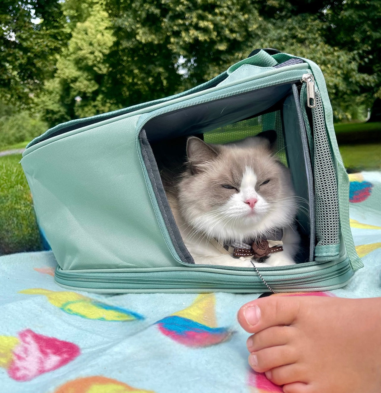 KATTSELE med koppel - din katt blir kvarterets coolaste