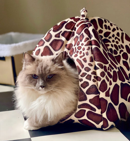 KATTKOJA - purrfect & mysig