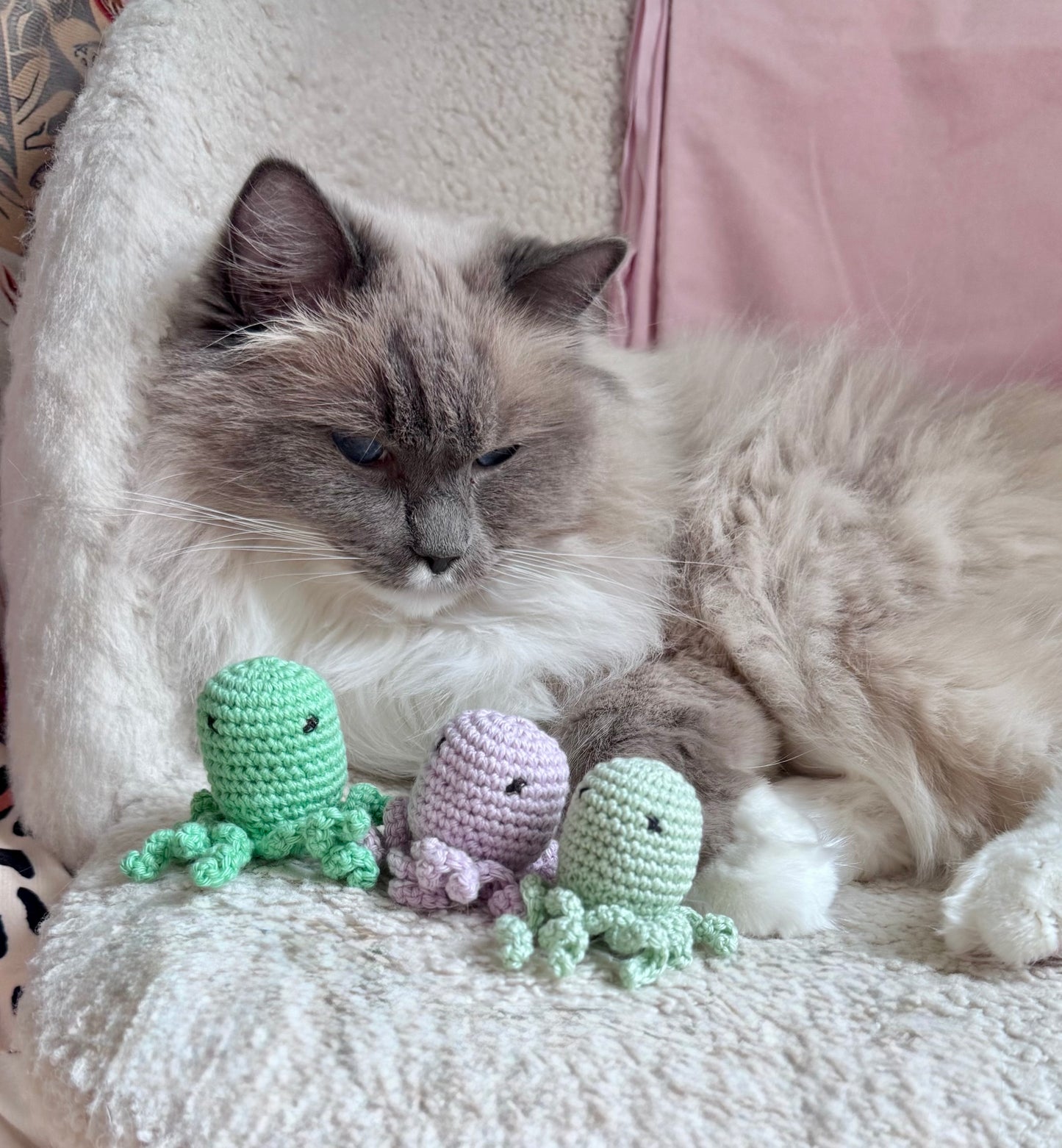 VIRKAD KATTLEKSAK - med extra stark kattmynta