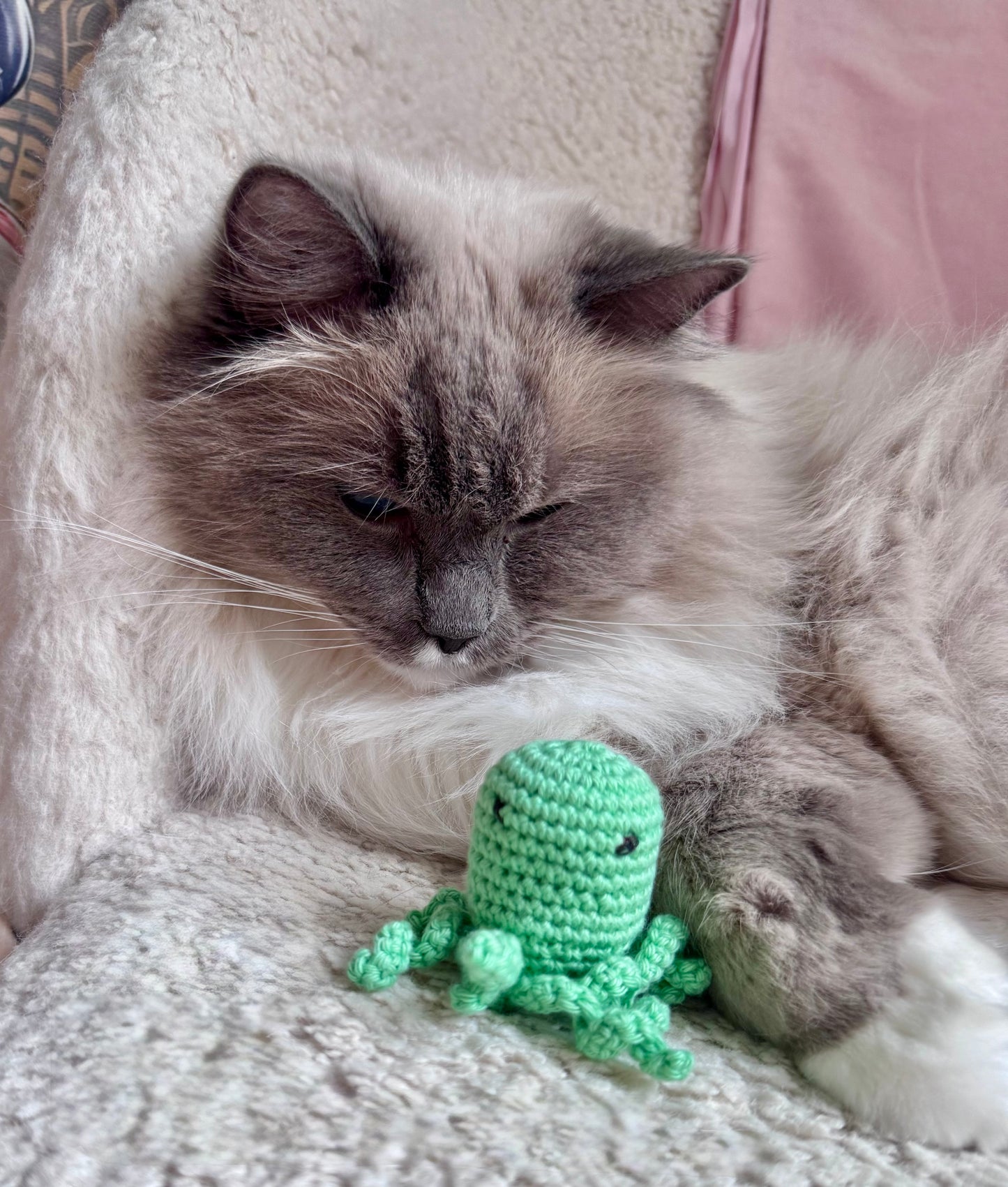 VIRKAD KATTLEKSAK - med extra stark kattmynta
