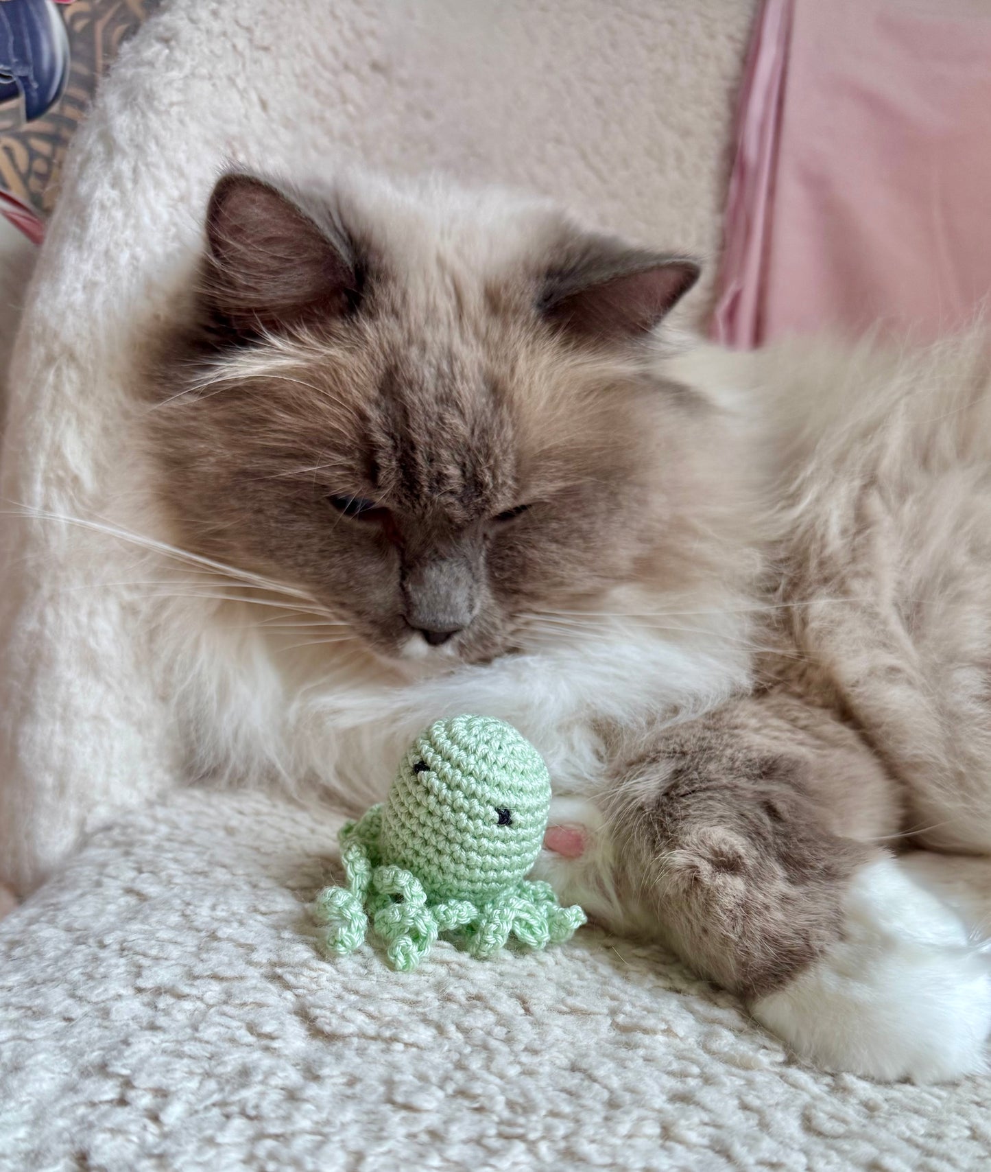VIRKAD KATTLEKSAK - med extra stark kattmynta