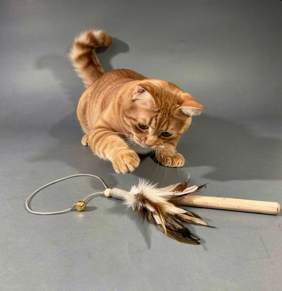KATTVIPPA - Favoritleksak i naturliga material