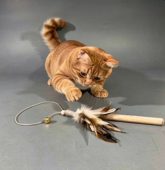 KATTVIPPA - Favoritleksak i naturliga material