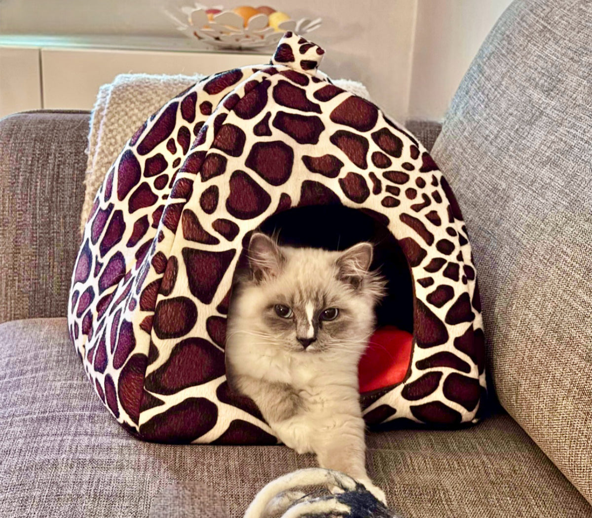 KATTKOJAN Purrfect - Mysigt krypin för din katt