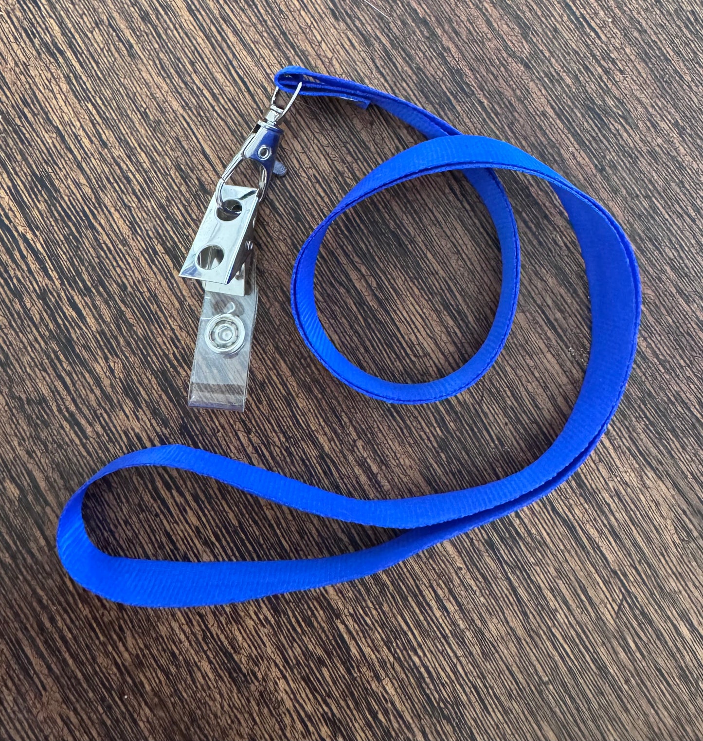 HALSBAND & KORTHÅLLARE - snygga och praktiska till kattutställning